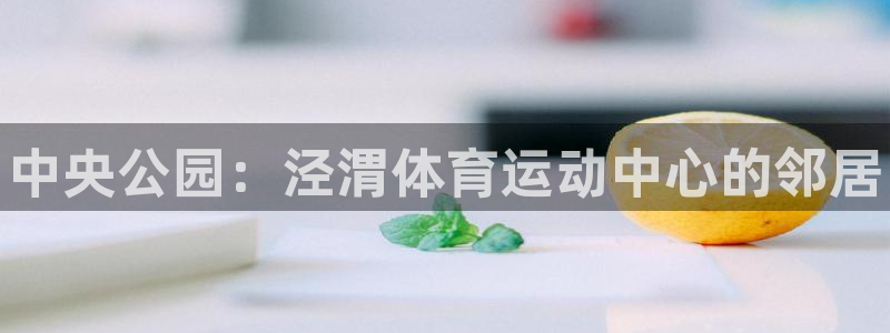 JJB竞技宝官方正版app开户：中央公园：泾渭体育运