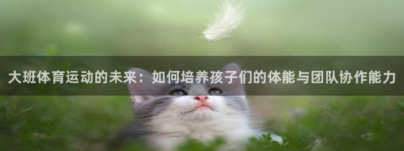 JJB竞技宝官网下载招商电话地址查询：大班体育运动的