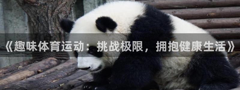 JJB竞技宝官方正版app集团官网网址：《趣味体育运