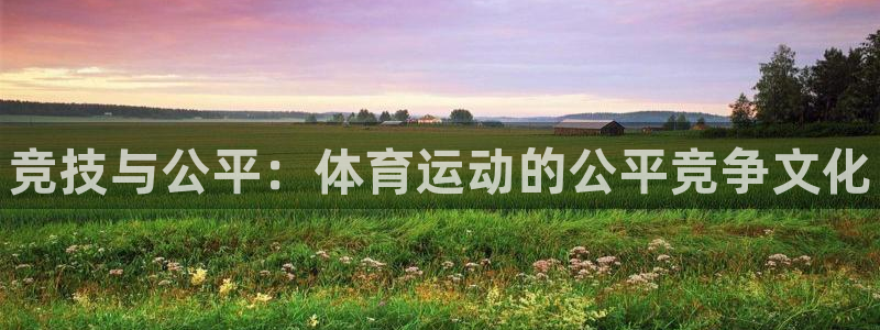 JJB竞技宝官方集团官网：竞技与公平：体育运动的公平