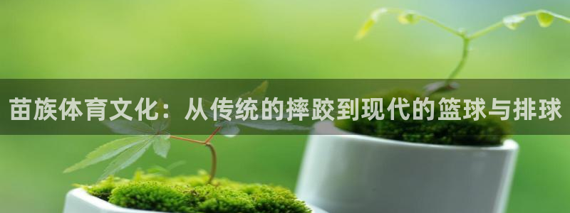 注册JJB竞技宝官方正版app：苗族体育文化：从传统