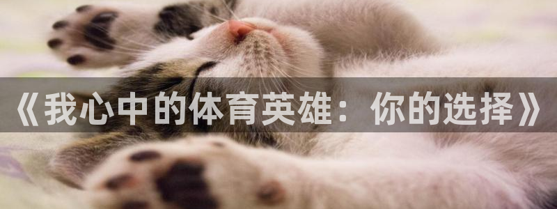 JJB竞技宝官方正版app娱乐平台：《我心中的体育英雄：你的