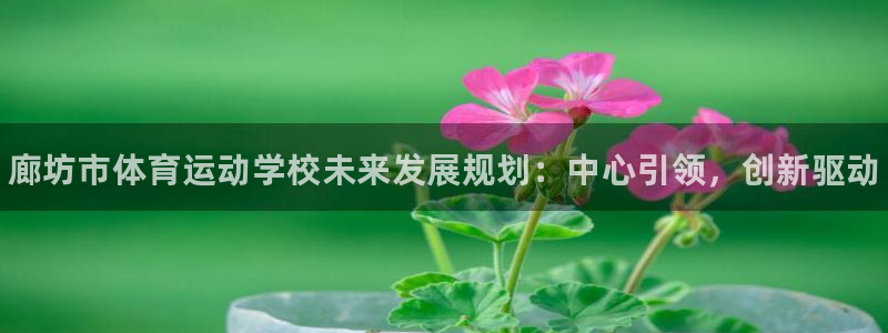 JJB竞技宝官网下载平台注册：廊坊市体育运动学校未来