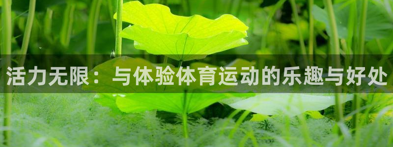 JJB竞技宝官网下载招商电话