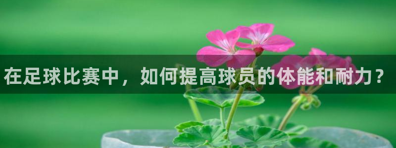 JJB竞技宝官网下载：在足球比赛中，如何提高球员的体能和耐力