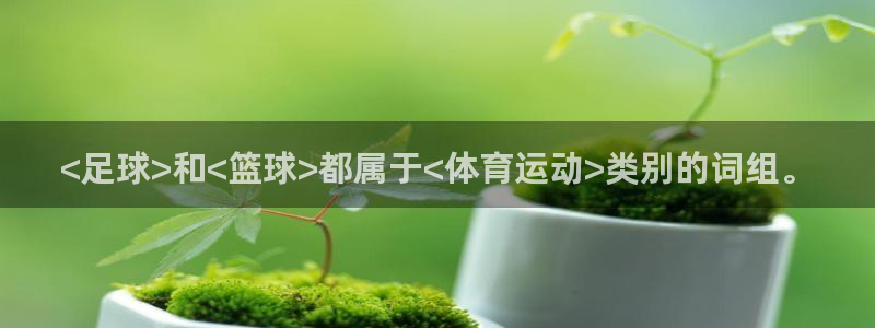 JJB竞技宝官网下载娱乐