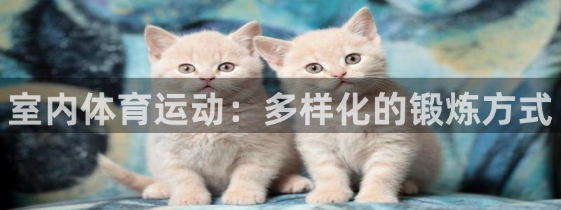 JJB竞技宝官网下载招商电话地址