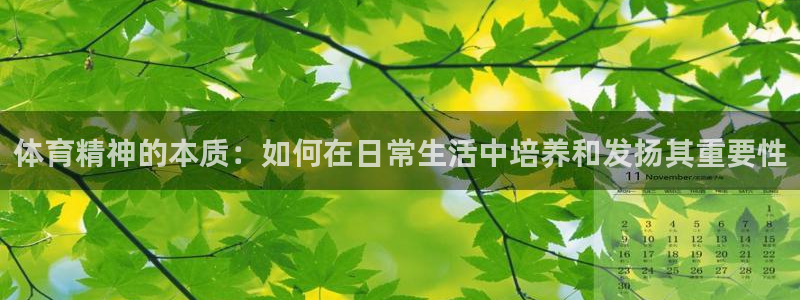 JJB竞技宝官网下载平台假的吗是真的吗：体育精神的本