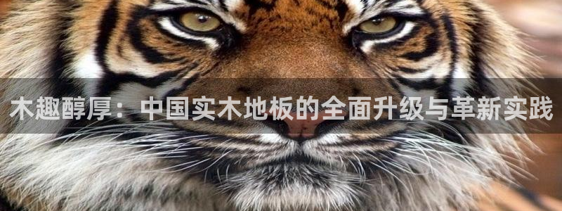 JJB竞技宝官网下载平台注册流程视频：木趣醇厚：中国