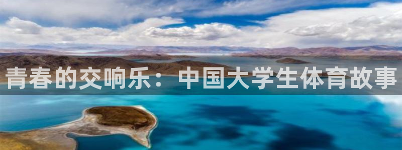 JJB竞技宝官方正版app新能源：青春的交响乐：中国