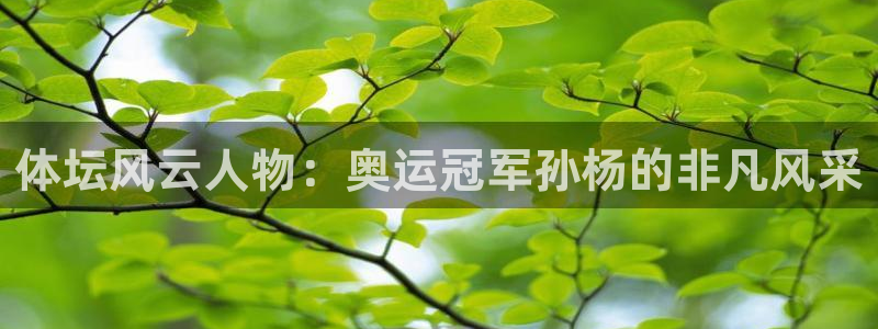JJB竞技宝官方集团官网：体坛风云人物：奥运冠军孙杨