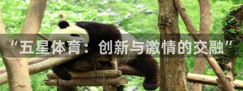 JJB竞技宝官网下载招商电话是多少啊：“五星体育：创新与激情