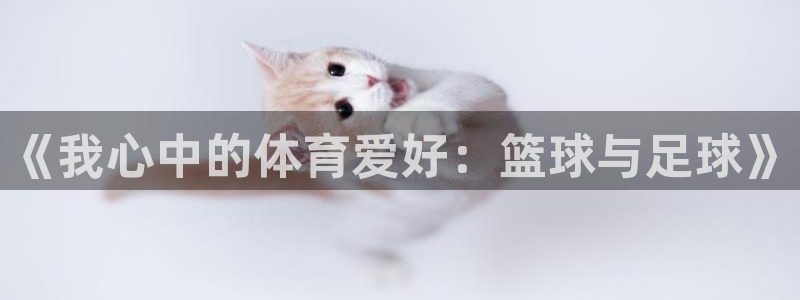 JJB竞技宝官方正版app集团简介：《我心中的体育爱好：篮球