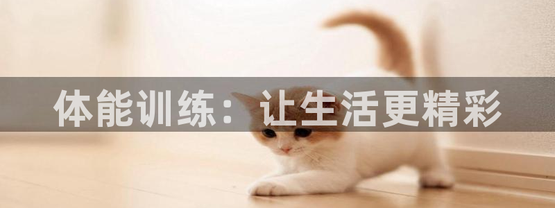 JJB竞技宝官方正版app娱乐是那个系列的台子：体能训练：让