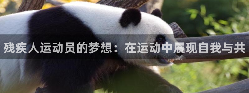 JJB竞技宝官方正版app集团logo：残疾人运动员的梦想：